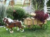 Reg.Buckboard Wagon Planter Reg.Buckboard Wagon Planter