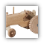Wooden Toy - Tractor
