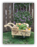 Peddlers Cart / Planter